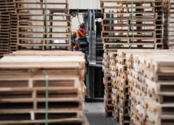 orman_urunleri_slider2